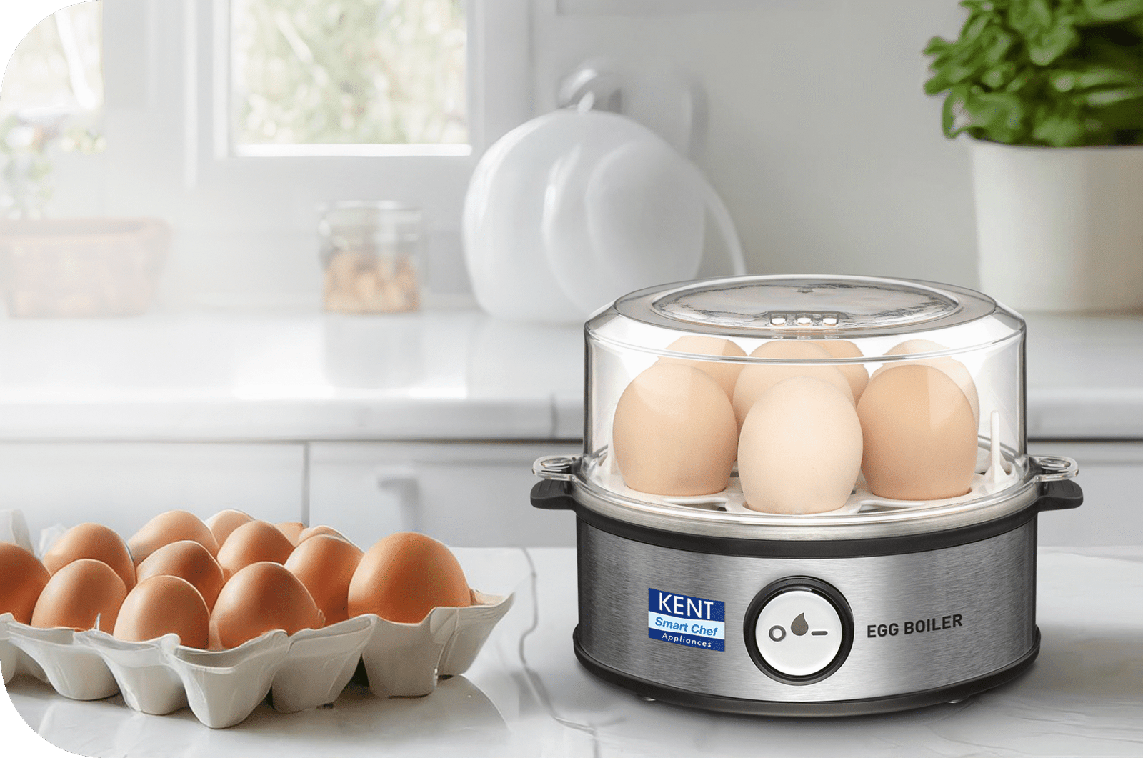 10 Essential Home & Kitchen Appliances to Brighten Your Home